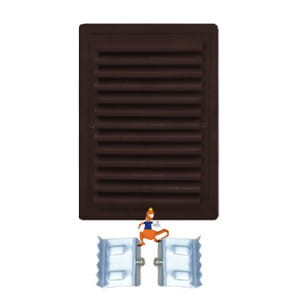 PLN02_braz.jpg