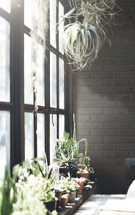 plytki-klinkierowe-elastyczne-naroznikowe-bergen-elastolith-realizacja2