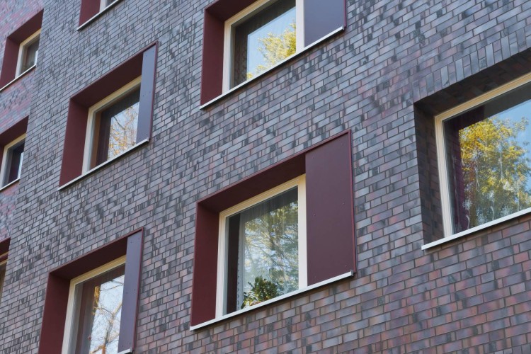 plytka-klinkierowa-r561-carbona-ardor-maritimo-df-240x14x52mm-feldhaus1.jpg