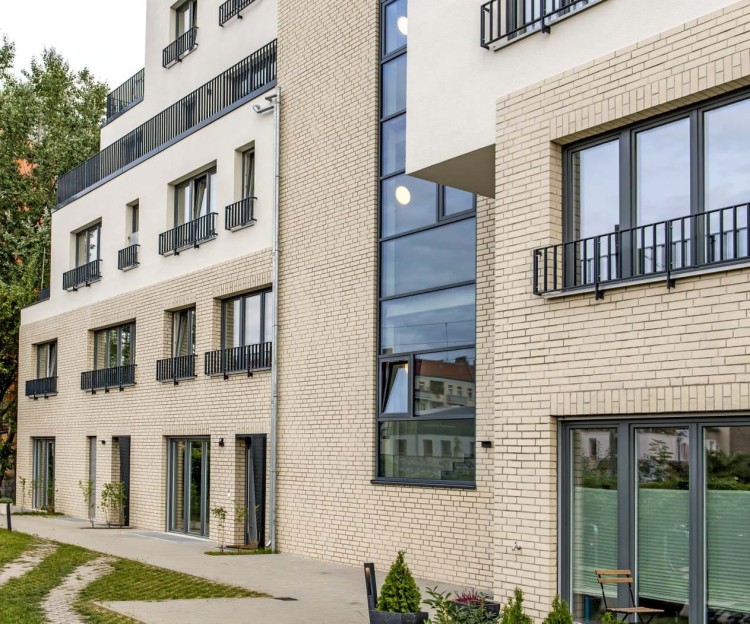 plytka-klinkierowa-r763-vascu-perla-df-240x14x52mm-feldhaus1.jpg