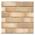plytka-klinkierowa-r916vario-sabiosa-canuviri-df-240x14x52mm-feldhaus.jpg
