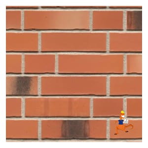 plytka-klinkierowa-r985-bacco-nf-240x14x71mm-feldhaus-kwd.jpg