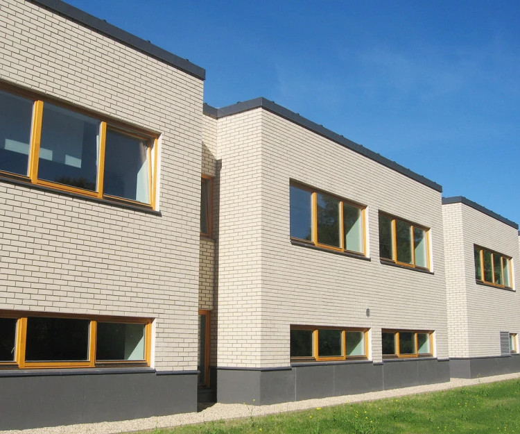 plytka-klinkierowa-katowa-r100-classic-perla-liso-nf-240-115x9x71mm-feldhaus1.jpg