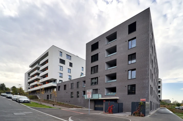 plytka-klinkierowa-hf22-frozen-island-king-klinker-przysucha-realizacja3