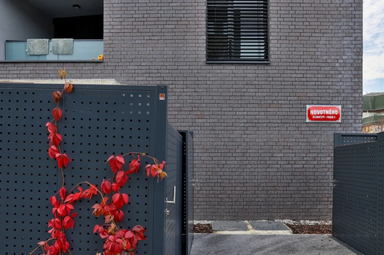 plytka-klinkierowa-hf22-frozen-island-king-klinker-przysucha-realizacja4