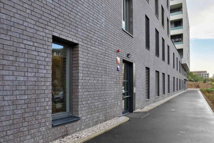 plytka-klinkierowa-katowa-hf22-frozen-island-king-klinker-realizacja5