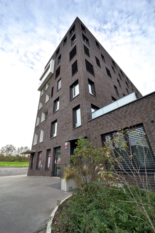 plytka-klinkierowa-hf27-blues-shadow-king-klinker-przysucha-realizacja5