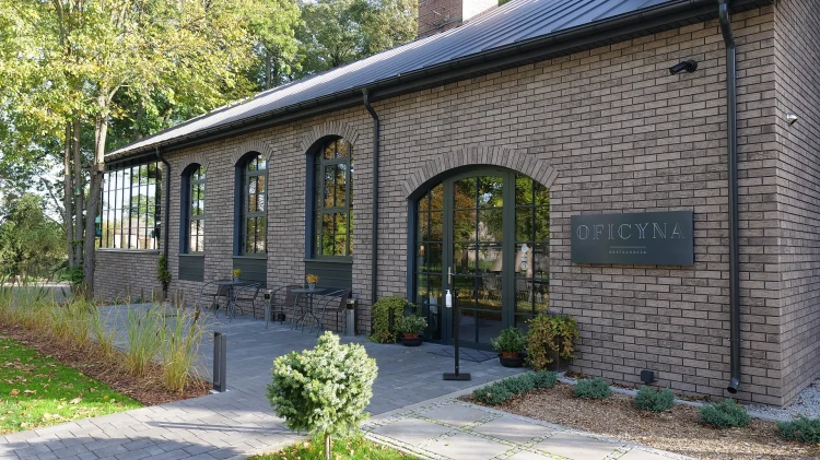 plytka-klinkierowa-katowa-hf45-aztec-ghost-king-klinker-realizacja1