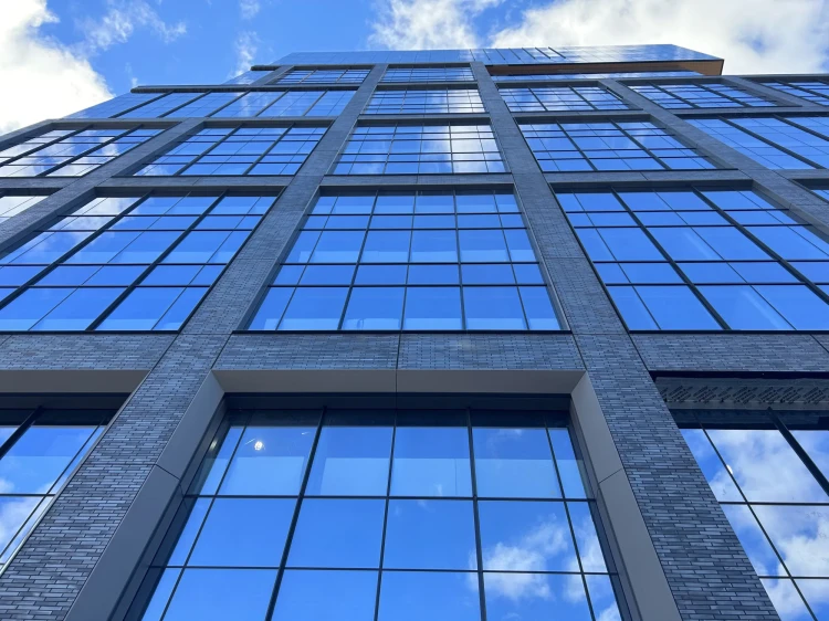 plytka-klinkierowa-lf18-obsidian-shadow-long-king-klinker-przysucha-realizacja2