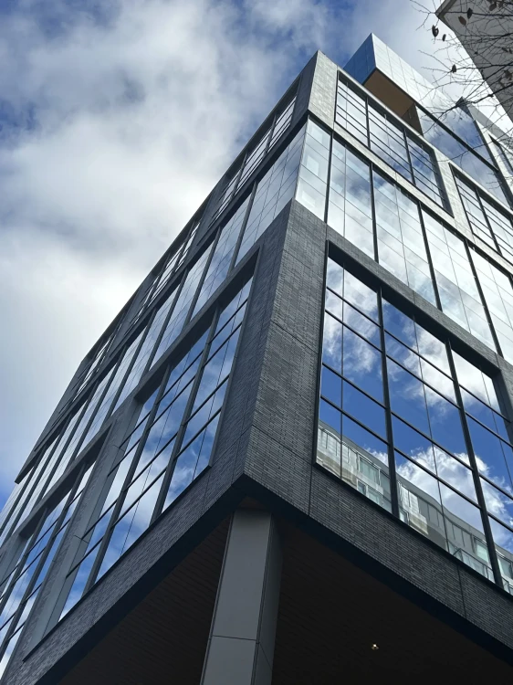 plytka-klinkierowa-lf18-obsidian-shadow-long-king-klinker-przysucha-realizacja4