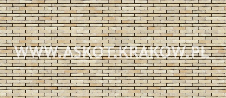 cegla-recznie-formowana-monet-nelissen-realiacja10