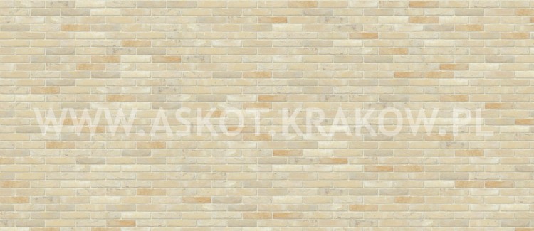 cegla-recznie-formowana-monet-nelissen-realiacja11