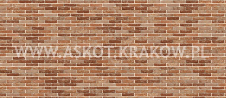 cegla-recznie-formowana-paladio-nelissen-realizacja6