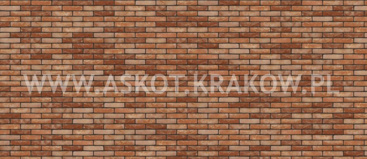 cegla-recznie-formowana-paladio-nelissen-realizacja7