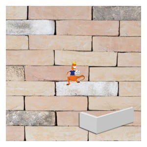 plytka-palermo-wf-210x20x50x20-steenfabriek-klinkers-kwd.jpeg