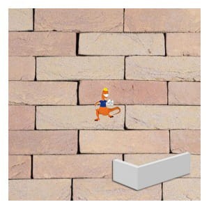 plytka-katowa-geel-sterk-genuanceerd-grofzand-wdf-210x100x65x20mm-steenfabriek-klinkers-kwd.jpeg
