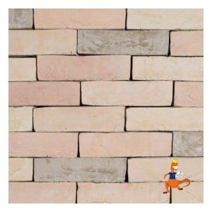 plytka-maastrichts-bont-wdf-210x20x65mm-steenfabriek-klinkers-kwd.jpeg