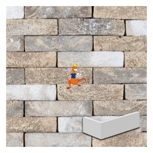 plytka-katowa-hf-oud-malpertuis-cegla-wf-210x100x50x20mm-steenfabriek-klinkers-kwd.jpeg