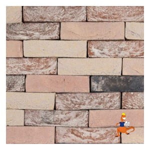 plytka-boschpoort-wdf-210x20x65mm-steenfabriek-klinkers-kwd.jpeg