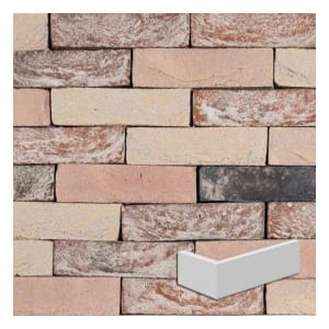 plytka-katowa-boschpoort-wdf-210x100x65x20mm-steenfabriek-klinkers.jpeg