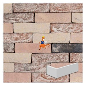 plytka-katowa-boschpoort-wdf-210x100x65x20mm-steenfabriek-klinkers-kwd.jpeg