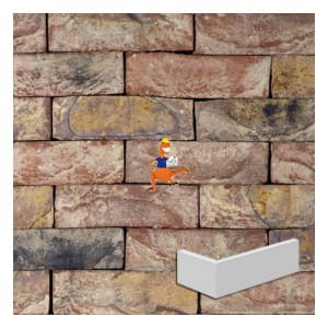 plytka-katowa-napoli-wdf-210x100x65x20mm-steenfabriek-klinkers-kwd.jpeg