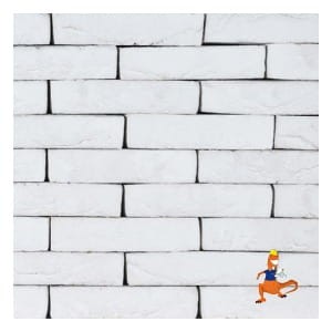cegla-hf-cement-cegla-wf-210x100x50mm-steenfabriek-klinkers-kwd.jpeg