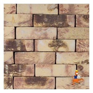 plytka-ashfort-multi-wdf-210x20x65mm-steenfabriek-klinkers-kwd.jpeg