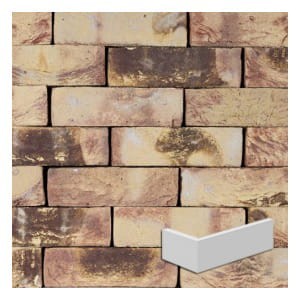 plytka-katowa-ashfort-multi-wdf210x100x65x20mm-steenfabriek-klinkers.jpeg