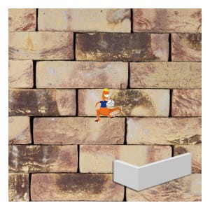 plytka-katowa-ashfort-multi-wdf210x100x65x20mm-steenfabriek-klinkers-kwd.jpeg