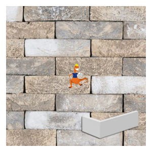plytka-katowa-oud-malpertuis-wdf-210x100x65x20mm-steenfabriek-klinkers-kwd.jpeg