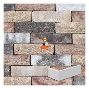 plytka-katowa-oud-daalhof-wdf-210x100x65x20mm-steenfabriek-klinkers-kwd.jpeg