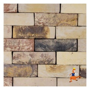 plytka-ash-vale-four-winds-blend-wdf-210x20x65-mm-steenfabriek-klinkers-kwd.jpeg