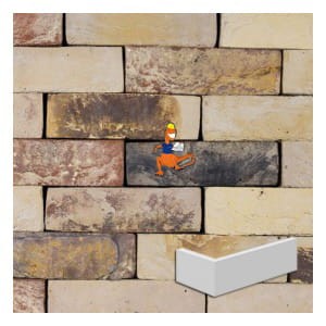 plytka-katowa-ash-vale-four-winds-blend-wdf-210x100x65x20mm-steenfabriek-klinkers-kwd.jpeg