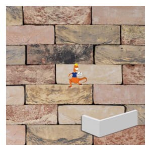 plytka-katowa-san-marino-wdf-210x100x65x20mm-steenfabriek-klinkers-kwd.jpeg