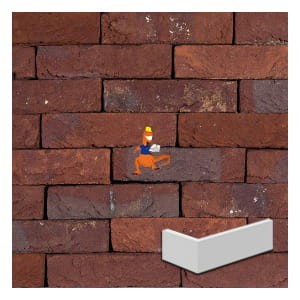 plytka-katowa-riva-wdf-210x100x65x20mm-steenfabriek-klinkers-kwd.jpeg