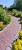 bruk-klinkierowy-patoka-classic-lode-realizacja20