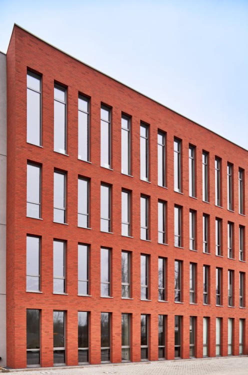 plytki-klinkierowe-elastyczne-oregon-elastolith-realizacja4