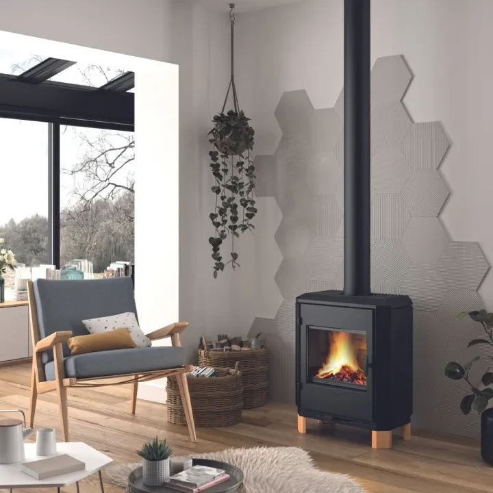 piec-wolno-stojacy-invicta-carolo-zen-antracyt-ref-6162-49 (2).webp