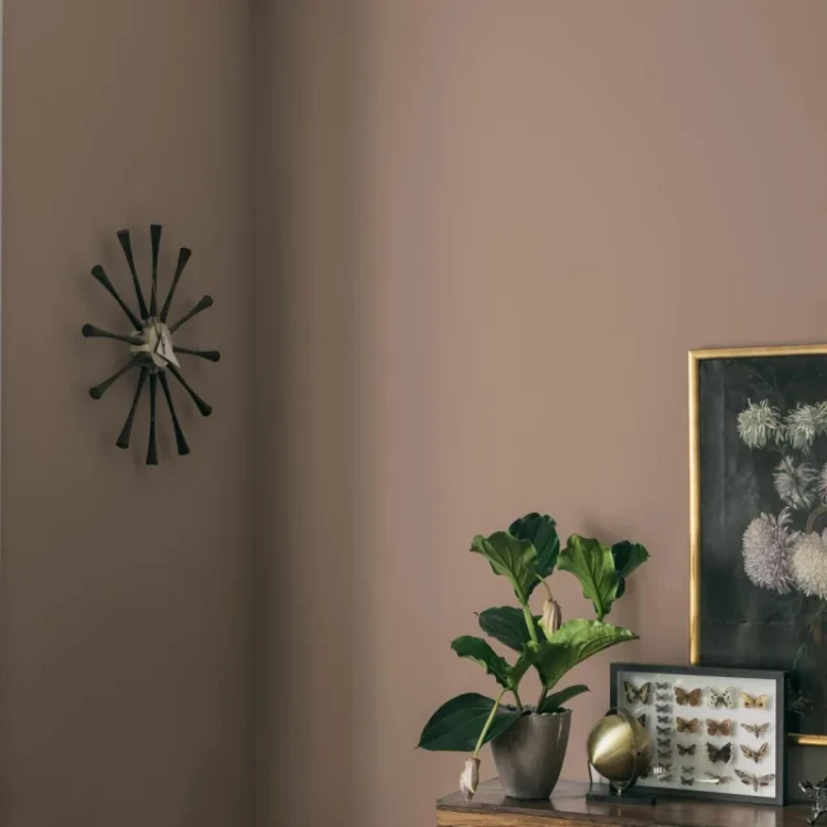designer-collection-mocha.webp