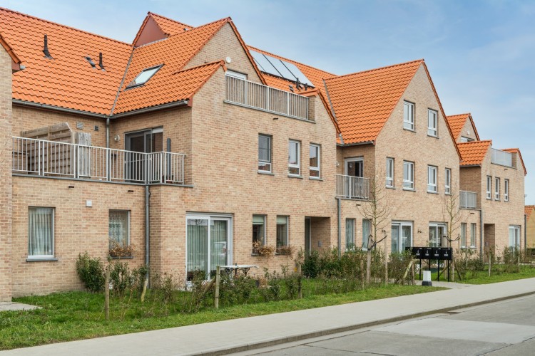 plytka-recznie-formowana-anderlecht-nelissen-realizacja12.jpg