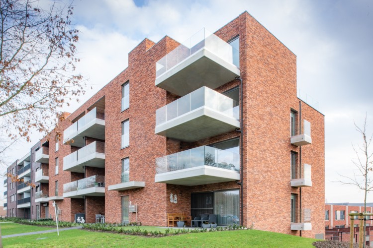 plytka-recznie-formowana-robinia-nelissen-realizacja.4.jpg