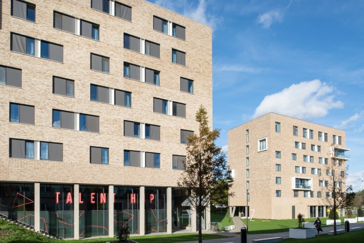 plytka-recznie-formowana-maranello-nelissen-realizacja15.jpg