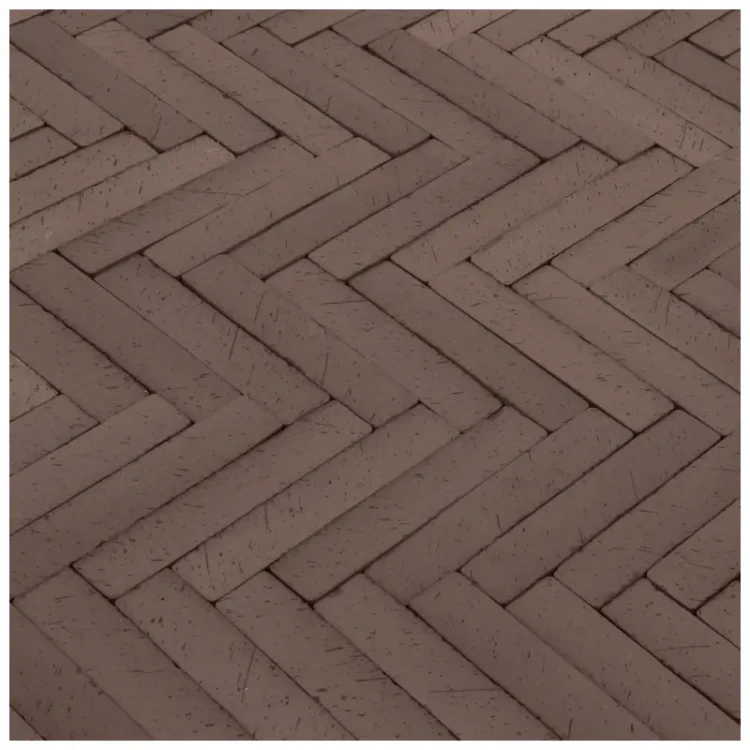 bruk-klinkierowy-wega-250x45x65mm-lode.webp