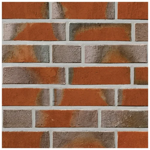 cegla-klinkierowa-maszynowa-rysum-roben.webp