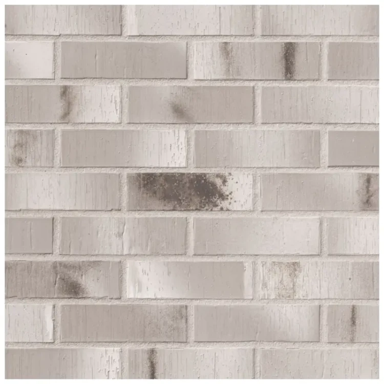 plytka-klinkierowa-maszynowa-bordeaux-szara-carbon-roben.webp
