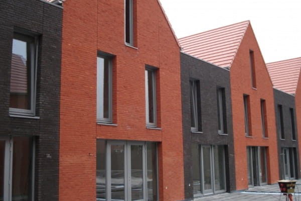 ravenzwart2.jpg