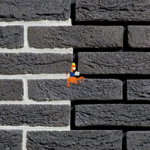 zwart-bezaagseld.jpg