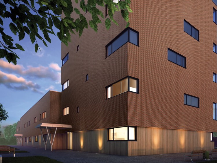 plytka-klinkierowa-19-rubinowy-pomien-long-king-klinker-przysucha-realizacja1