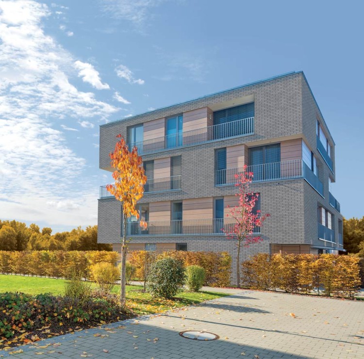 plytka-klinkierowa-katowa-hf44-arctic-storm-king-klinker-realizacja1